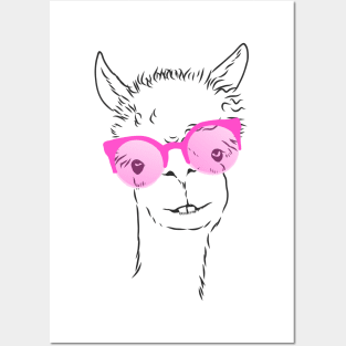 cute llama in fashionable pink glasses Posters and Art